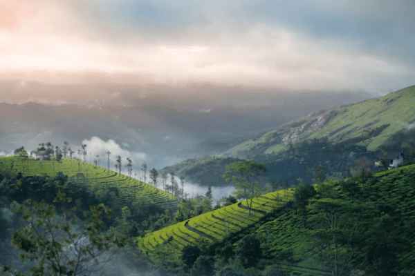 Vagamon sightseeing tours